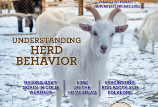 Countryside January/February 2026